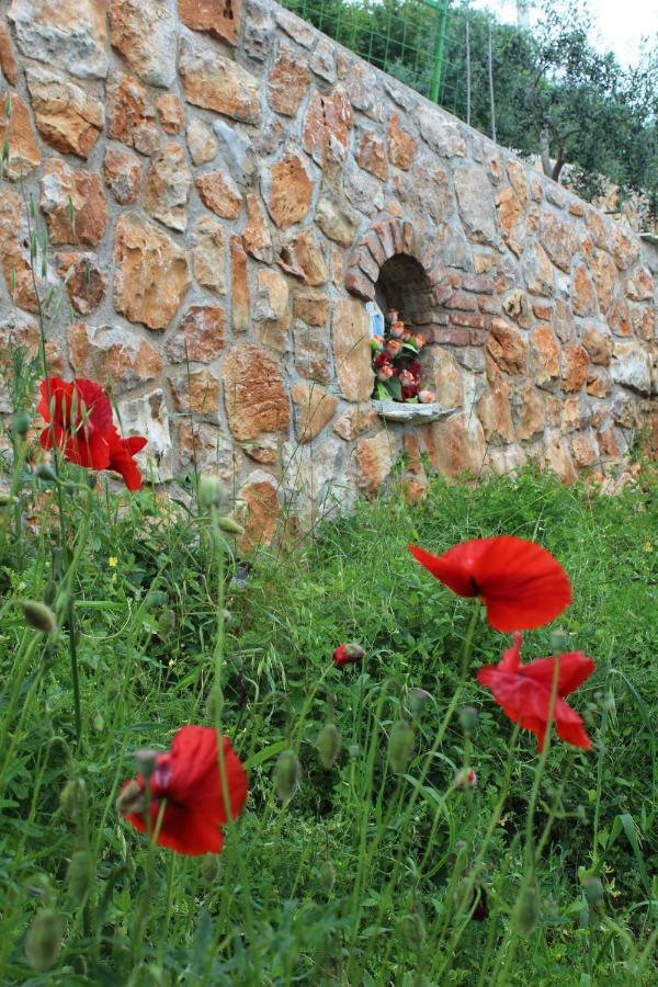 Vila Mary'S Garden Tulisevica Exteriér fotografie